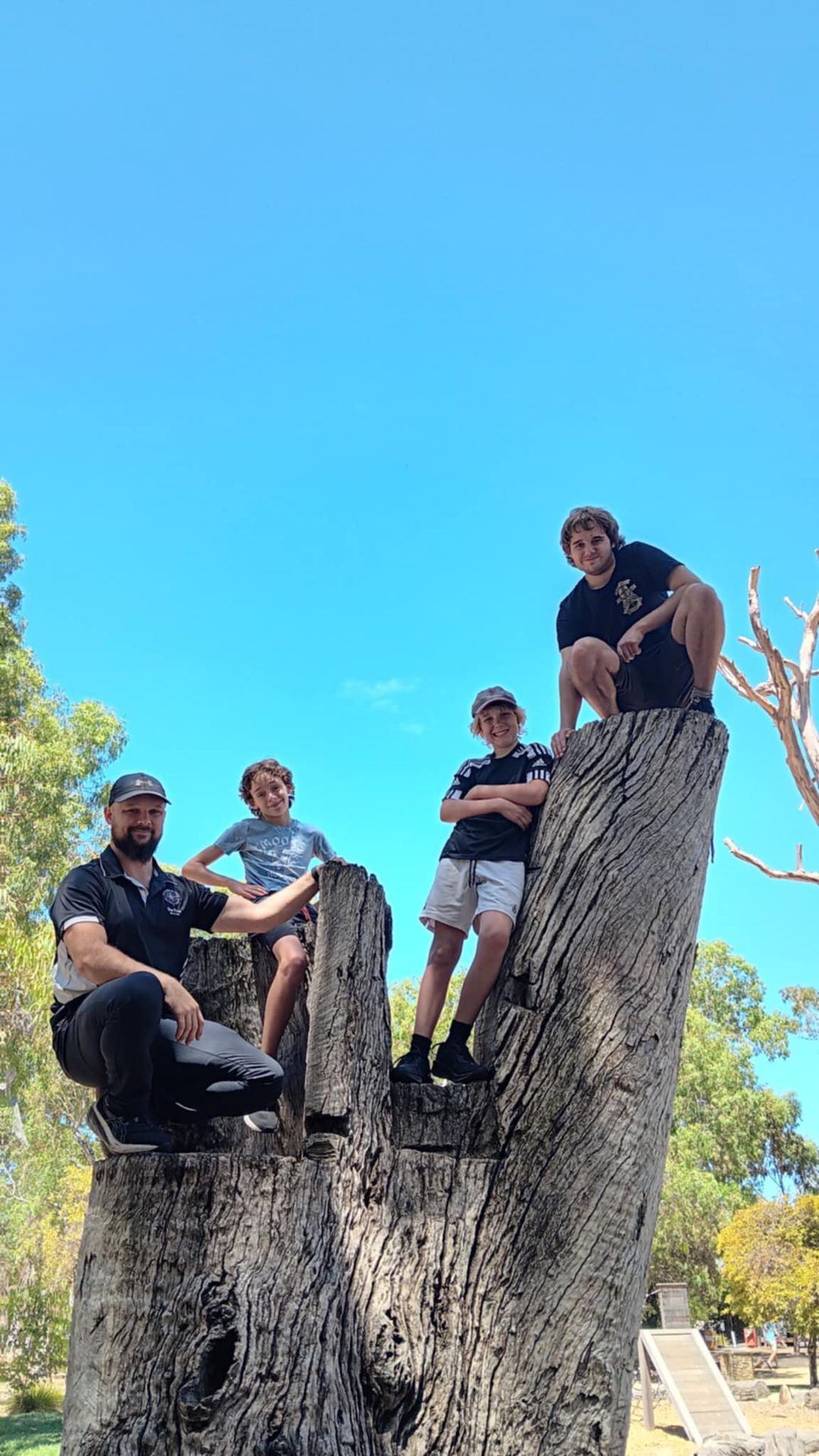 Four people sitting on large tree stumps against a clear blue sky with trees in the background.